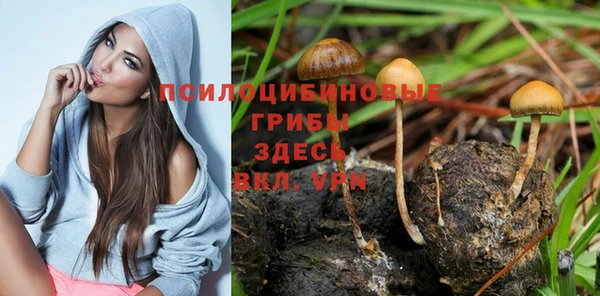 мяу мяу мука Медногорск