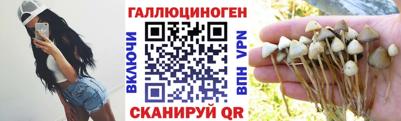 Галлюциногенные грибы GOLDEN TEACHER  наркотики  Курган 
