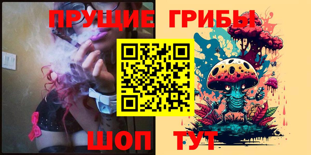 Галлюциногенные грибы Cubensis  Курган  Галлюциногенные грибы Cubensis 