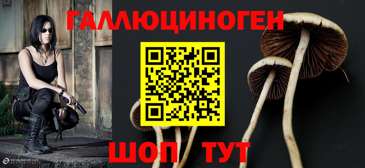 купить   Галлюциногенные грибы Cubensis  Вход с VPN  Курган 