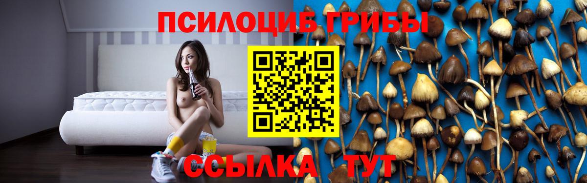 Псилоцибиновые грибы GOLDEN TEACHER Курган